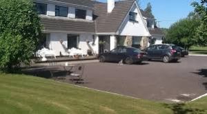 Carrigshane House B&B, Midleton